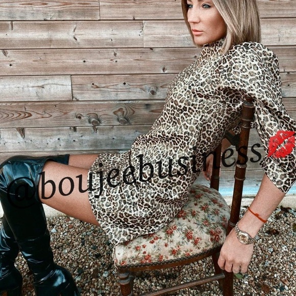 ZARA Leopard Animal Print Dress - Picture 5 of 9
